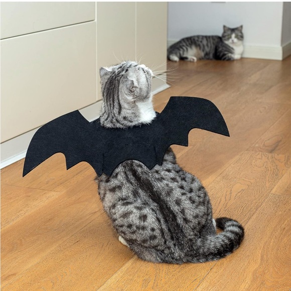 Cat Dog Bat Wings Puppy Kitten Kitty Halloween Vampire Costume ~Host Pick~x2 - Picture 5 of 16